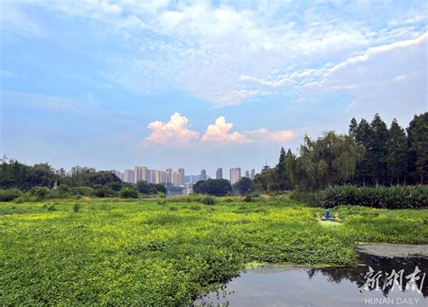 科学网—天光云影水粼 - 孟津的博文