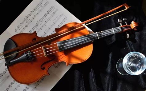 弦音悠扬，宛如谧夜：让优雅的小提琴音乐伴你度过周末 - 微文周刊