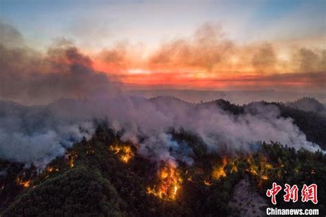 四川合江：森林火灾扑救工作仍在全力进行_手机新浪网