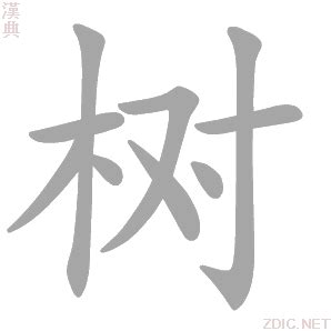为了学习汉字，老外们也是拼啦！ - 搜狗字媒体