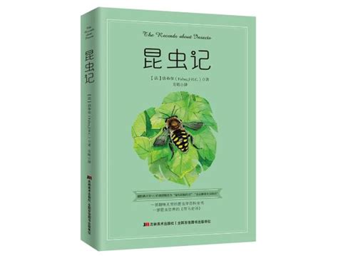 昆虫百科全书 精装彩图注音版 昆虫世界历险记 适合6-12-15岁儿童-阿里巴巴