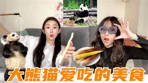 熊黛林吃美食图片视频