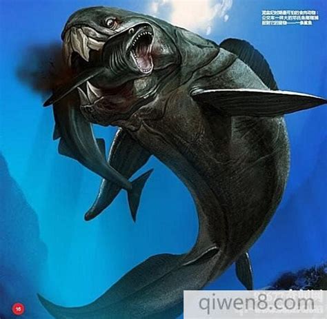 鲨鱼进化悲歌：被其他霸主欺负亿万年的感觉，人类不会懂 - 黑点红黑点红