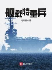 请推荐一些长篇的涉及贩卖军火的小说。 - 起点中文网