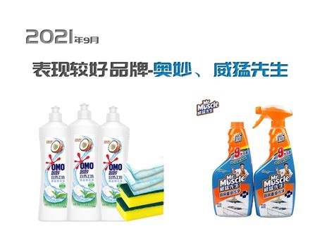 清洁用品商标属于第几类-清洁用品商标注册属于哪一类？「商标分类」-三文品牌