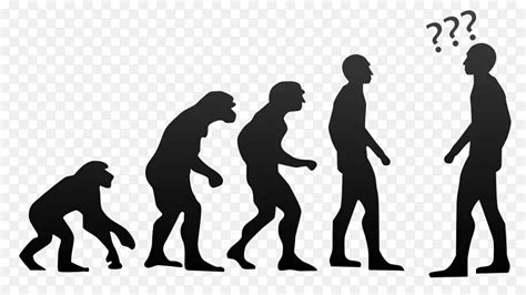 人类进化心理学类人猿对人类PNG图片素材下载_图片编号5664815-PNG素材网