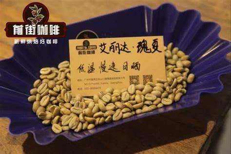 巴拿马瑰夏咖啡努果Nuguo庄园介绍 压力厌氧处理法咖啡豆冲煮建议 中国咖啡网