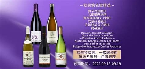 红酒宣传手册 产品手册 宣传册_王桂华-站酷ZCOOL