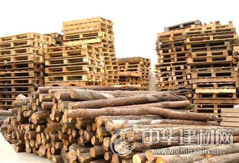 【木业全知道】进口木材主要有哪些渠道？-中国木业网