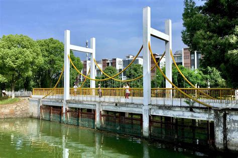 形形色色的桥【武汉 江夏区 汤逊藏龙岛国家湿地公园】|汤逊|藏龙岛|国家湿地公园_新浪新闻