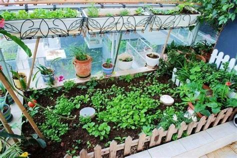 阳台菜园 阳台种植蔬菜 城市家庭小菜园 都市田园 农场集装箱-阿里巴巴