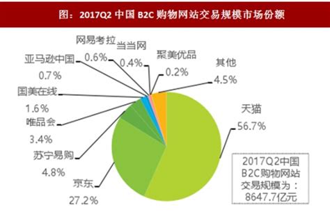 网络购物平台市场分析报告_2019-2025年中国网络购物平台市场运行动态分析及投资趋势预测报告_中国产业研究报告网