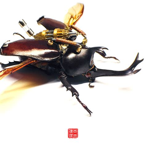 跨境透明树脂昆虫标本独角仙蜘蛛蝎子金龟胡蜂创意长方体书镇摆件-阿里巴巴