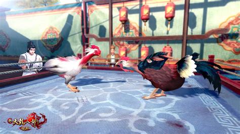 幽默杂技《斗鸡》两只大鸡登台，到底是鸡斗人，还是人斗鸡！_高清1080P在线观看平台_腾讯视频