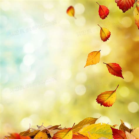 飘落的秋叶图片-飘落的秋叶图片素材免费下载-千库网