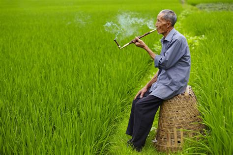 福建南安：推广农业社会化服务 促进农业高质量发展_凤凰网视频_凤凰网