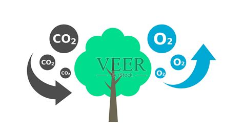 树木吸收二氧化碳，释放氧气。碳循环。光合作用过程图。插画图片素材_ID:414249255-Veer图库