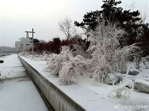 威海的冬天——雪的季节凤凰网山东_凤凰网