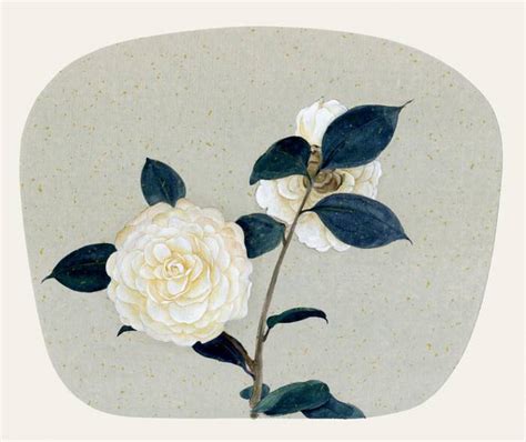花是昨日之花你的梦是少年之梦图片