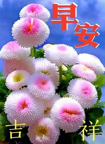 中午好的图片