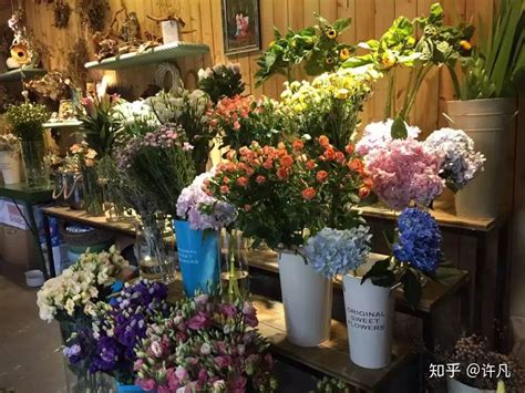添点新故事，盒马要做中国最大的鲜花零售商 - 知乎