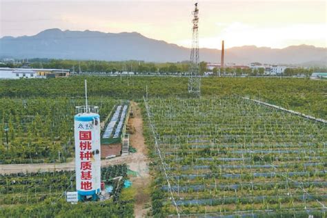 2021中国·平谷农业中关村创新大会在京举行-千龙网·中国首都网
