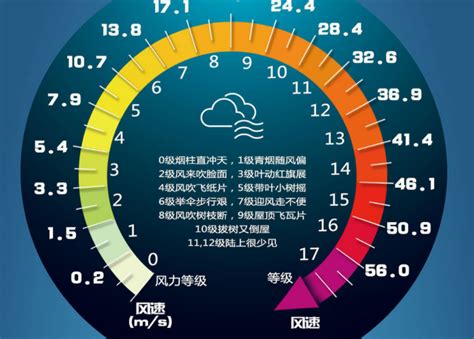 橙色预警！刚刚，台风“海高斯”登陆广东珠海，最大风力13-15级，“12级风圈”半径达20公里…… | 每经网