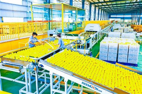 潼南 加快建设全国柠檬优势产业集群核心区