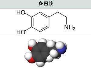 多巴胺图片
