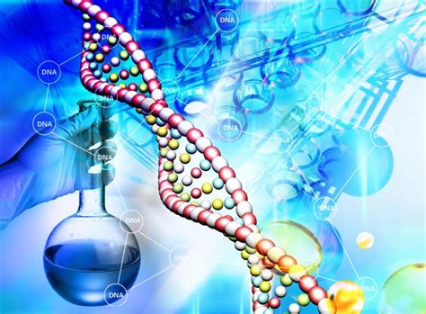 提取基因组中的内含子、外显子以及基因间区-CSDN博客