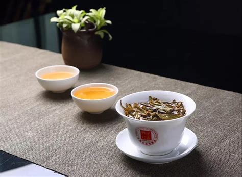 普洱茶怎么区分干仓茶与湿仓茶？|普洱茶百科 - 中吉号官网