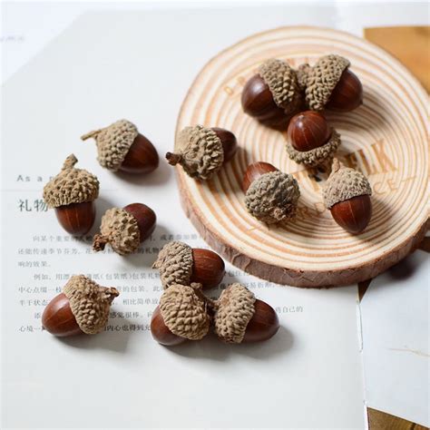 313.橡实果2(长鼻叶)草属性~青草搅拌器图片
