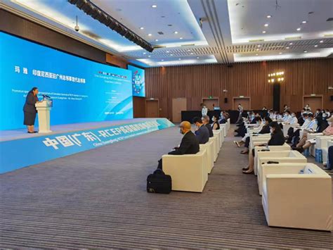 中国(广东)—RCEP成员国跨境电商交流会在穗举行-广东省电子商务协会