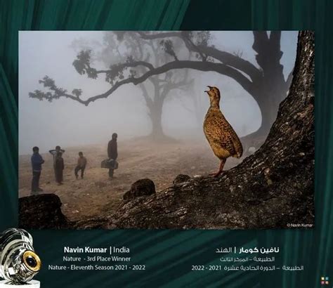 第十一届阿联酋迪拜哈姆丹国际摄影大赛最终获奖名单出炉