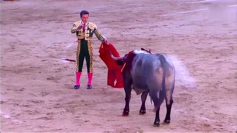 西班牙斗牛，看看这个斗牛士一剑刺入牛背的时候有多准，太血腥了