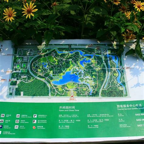 北京：奥林匹克森林公园北园十一起免费游 以树木为主 园林资讯