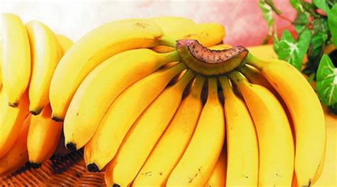 香蕉名字是怎么来的,香蕉的名字的真正由来 - 悠易生活