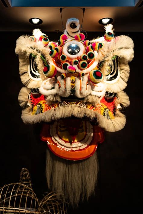 中国的舞狮文化：南狮和北狮有什么区别？每一只狮子里面都有灵魂_徐水