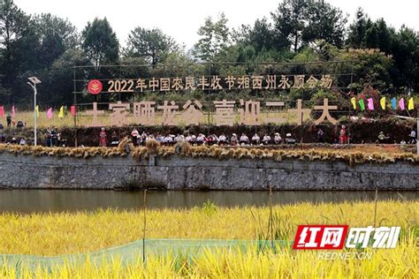2022年中国农民丰收节湘西州主题庆祝活动在永顺举行_民生_湘西站_红网