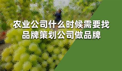 全国***理农业部肥料证件代办服务-258jituan.com企业服务平台