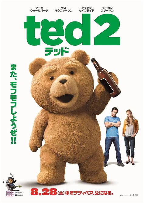 泰迪熊2 海报