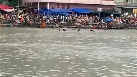 印度7名信徒在恒河朝圣活动中被河水冲走__凤凰网