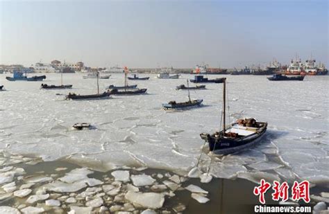 渤海海冰发展迅猛 已有部分养殖区被冰封|渤海|海冰-社会资讯-川北在线