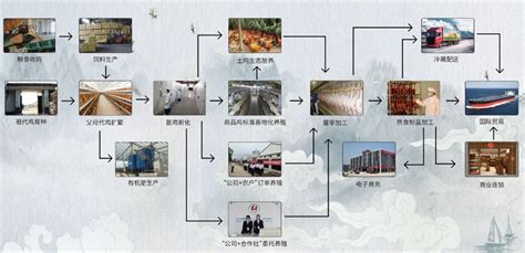 【行业】石油-石化龙头加速布局新材料（15页） | 乐晴智库