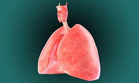肺挫裂伤临床治疗方法实用总结 - 爱爱医医学网