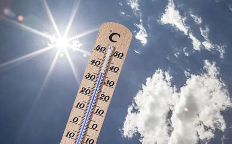 今年夏天是最热的一年吗2022-今年夏天热多长时间-趣丁网