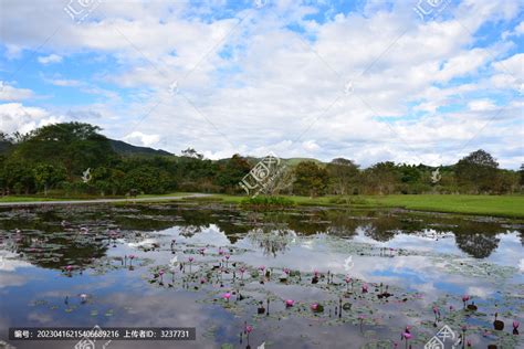 西双版纳热带植物园