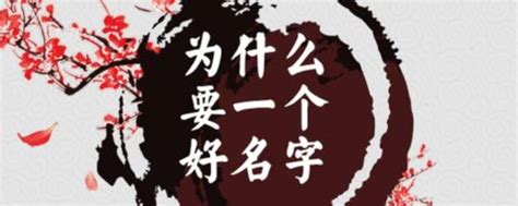 张苒个人资料简介(身高/生日/年龄)_电影电视剧作品 - 漫漫看明星库