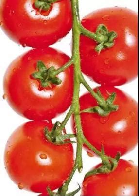 西红柿农药残留多，需要去皮吃？天天吃西红柿，你未必吃对了_蔬菜