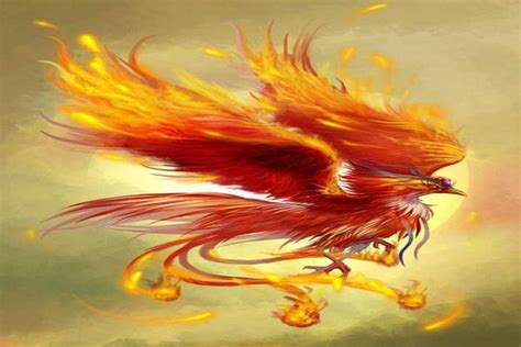 三足金乌图片